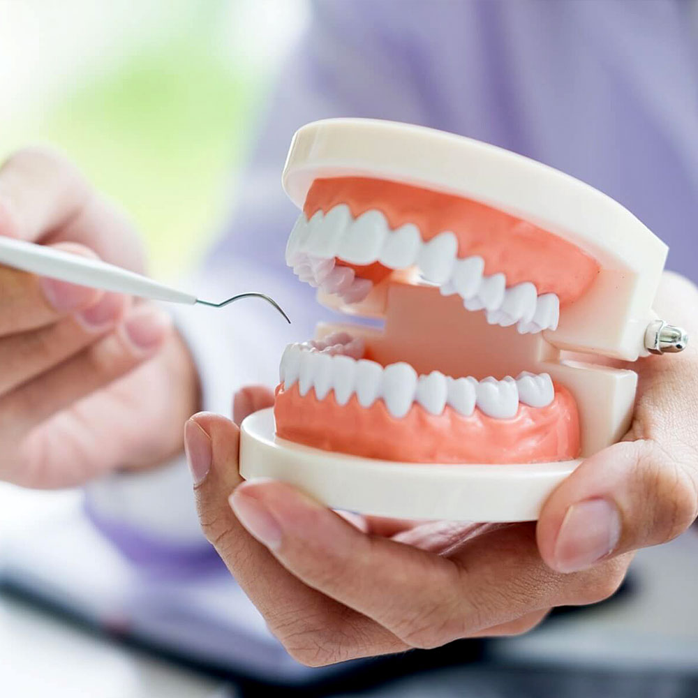 Maxillofacial Surgery